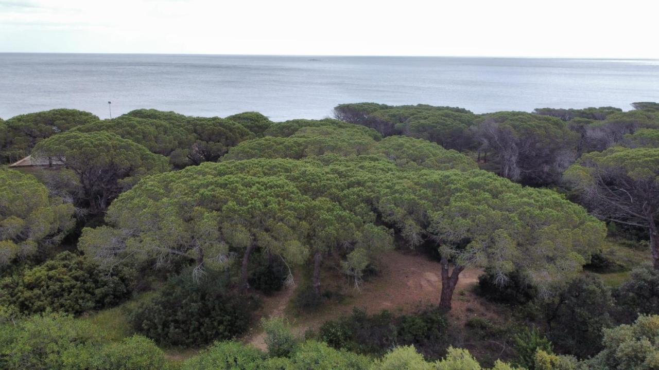 Le Pavoncelle Villa Budoni Buitenkant foto