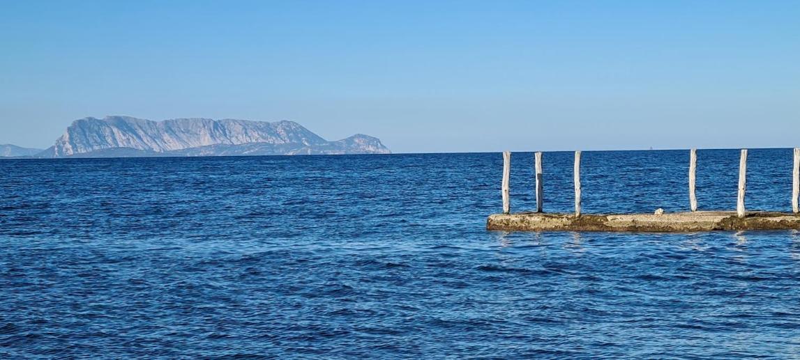 Le Pavoncelle Villa Budoni Buitenkant foto