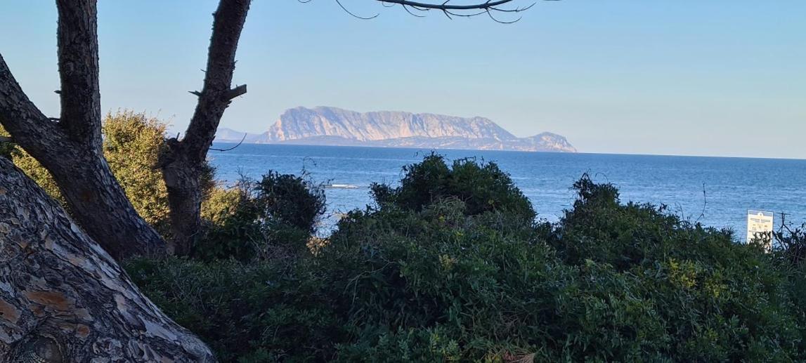 Le Pavoncelle Villa Budoni Buitenkant foto