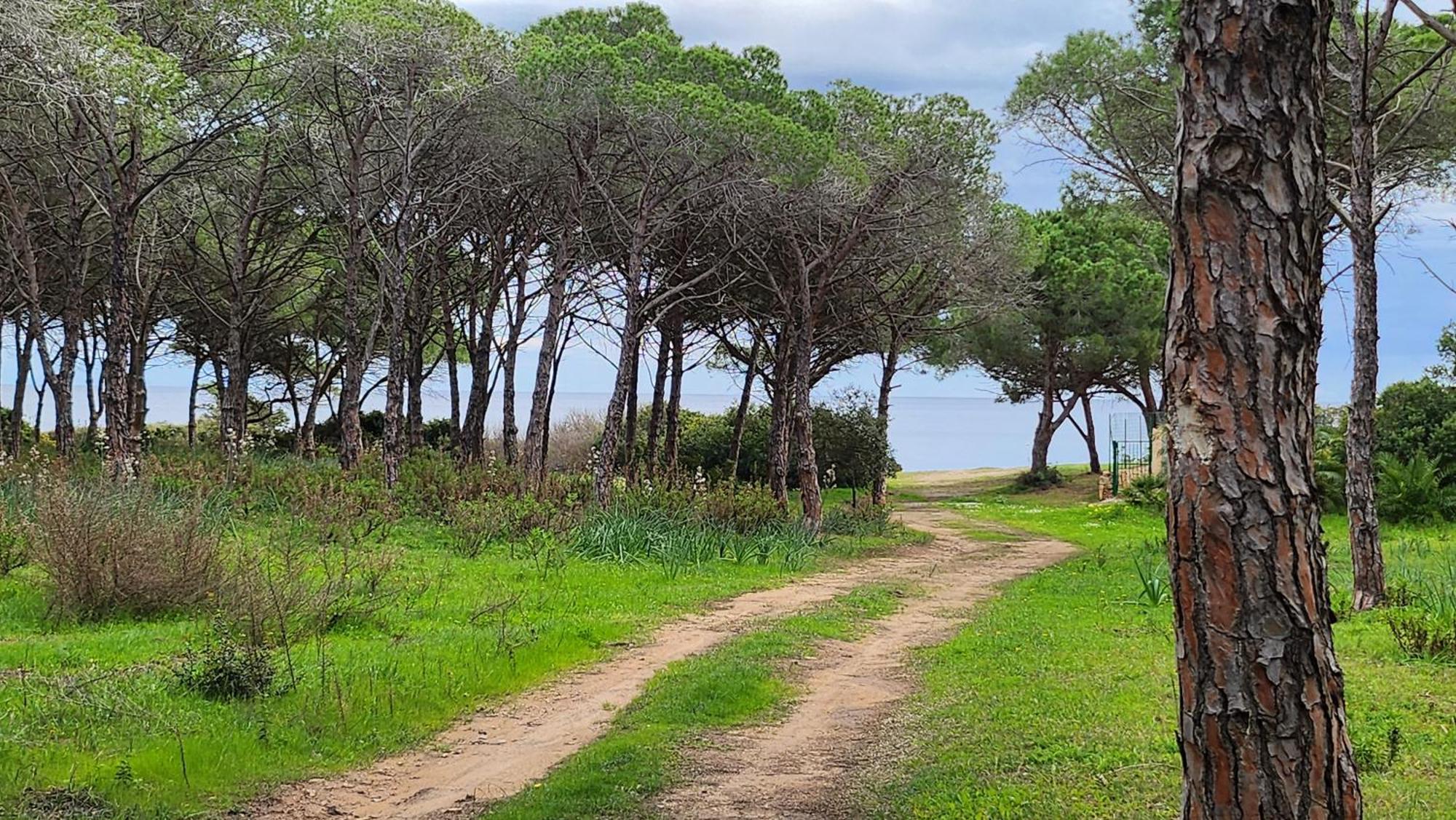 Le Pavoncelle Villa Budoni Buitenkant foto